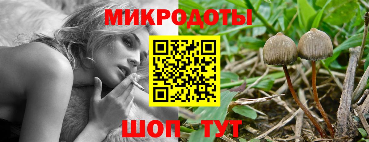 Галлюциногенные грибы Psilocybine cubensis  Вход с VPN  Учалы  Псилоцибиновые грибы MAGIC MUSHROOMS 
